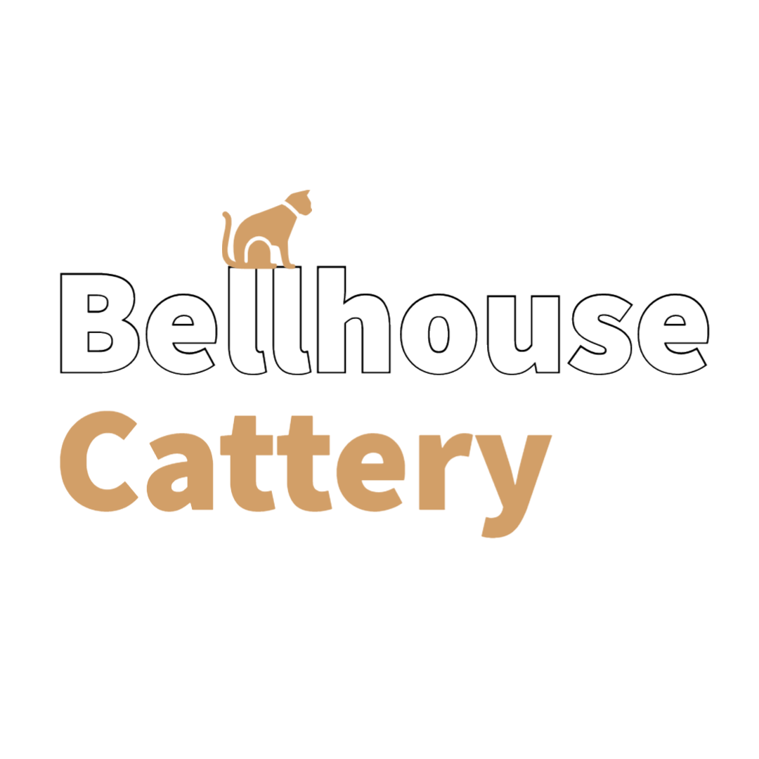 bellhouse cattery 